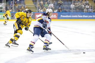 PANTHERS AND FLAMES MEET AGAIN TONIGHT IN GUILDFORD