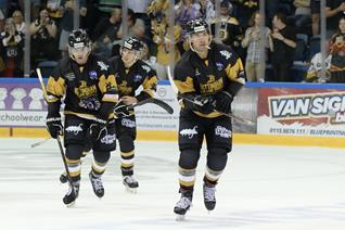 GAME DAY: PANTHERS PLAY STEELERS IN THE CUP