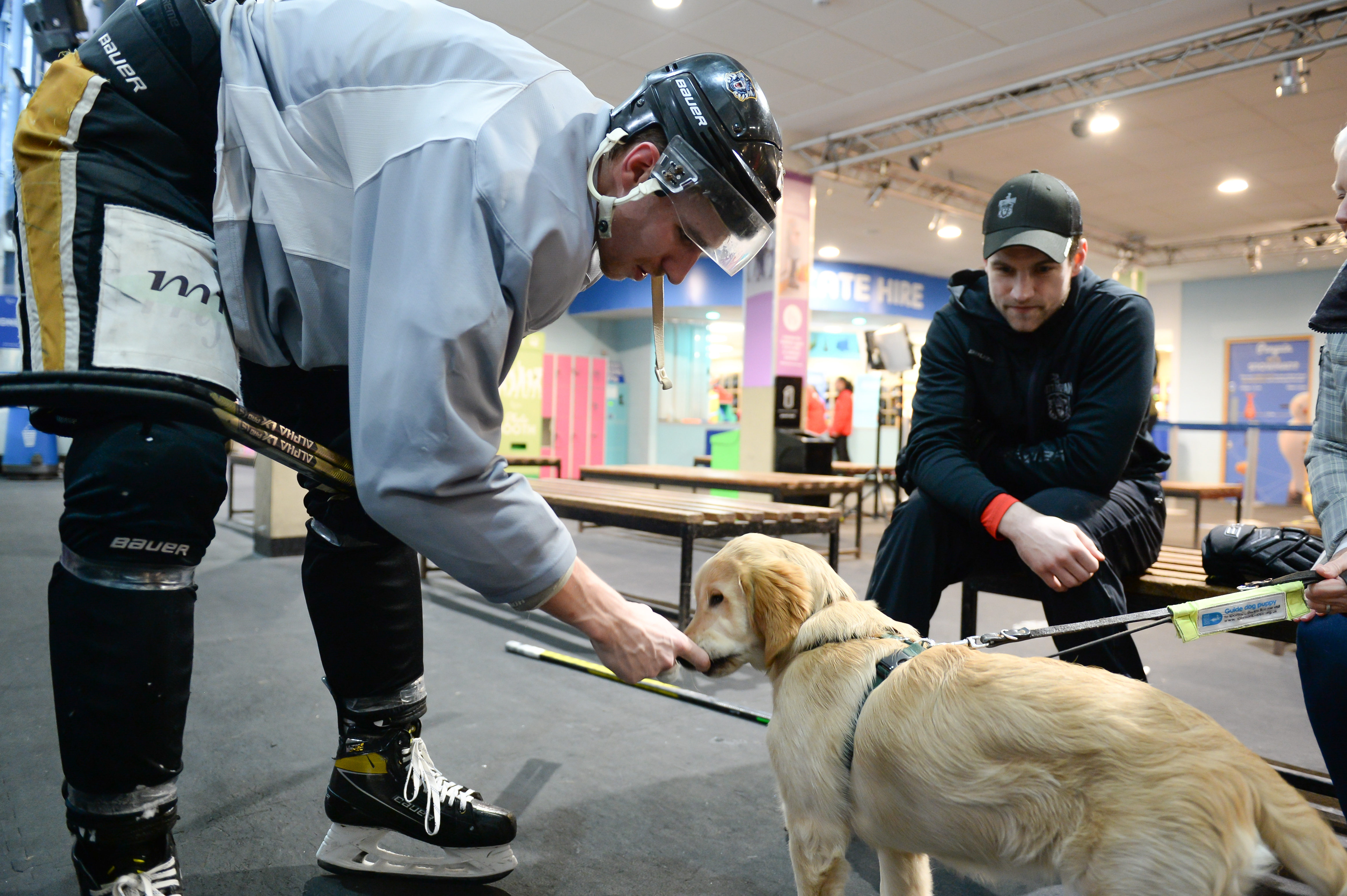 220331 | Guide Dogs Top Image
