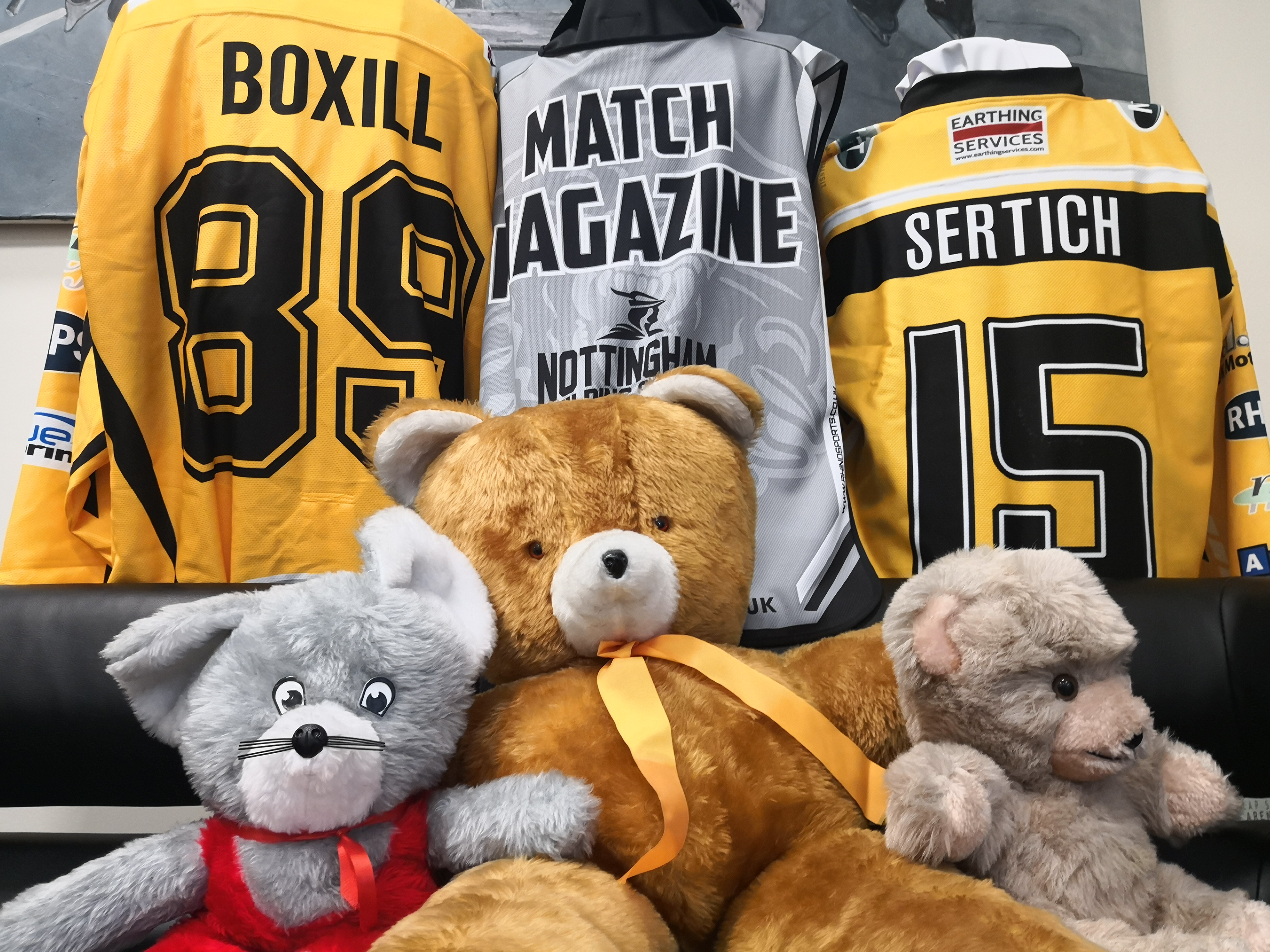 Charity boost at Panthers v Giants Top Image