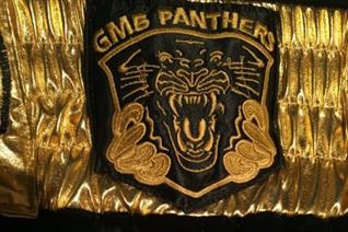 Successful ring comeback for Panthers' fan Leigh Wood