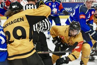 Friday face-off 7.30
