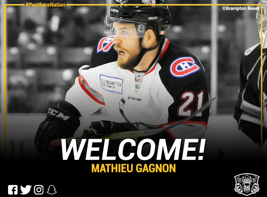 Panthers add highly rated defenceman Mathieu Gagnon Top Image