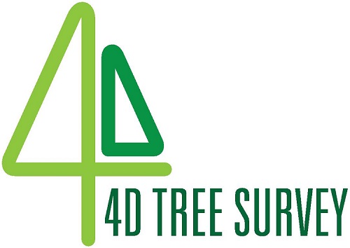 4D Tree Survey