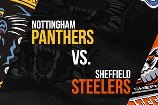Panthers vs Steelers- Game Preview