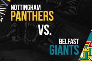 Panthers to face Belfast in semi final