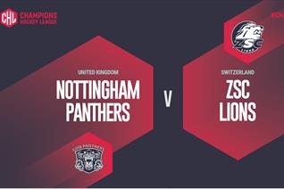 Highlights of Panthers vs Lions live