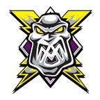 Manchester Storm