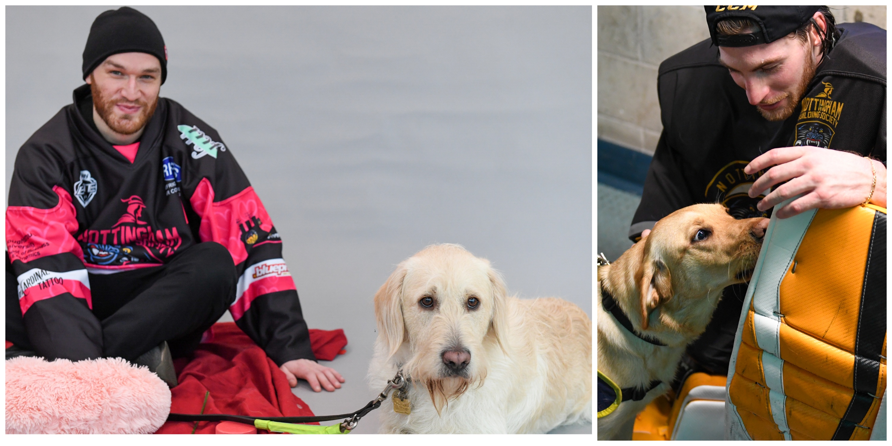 BEAU AND NETTIE CHOSEN AS GUIDE DOG NAMES Top Image