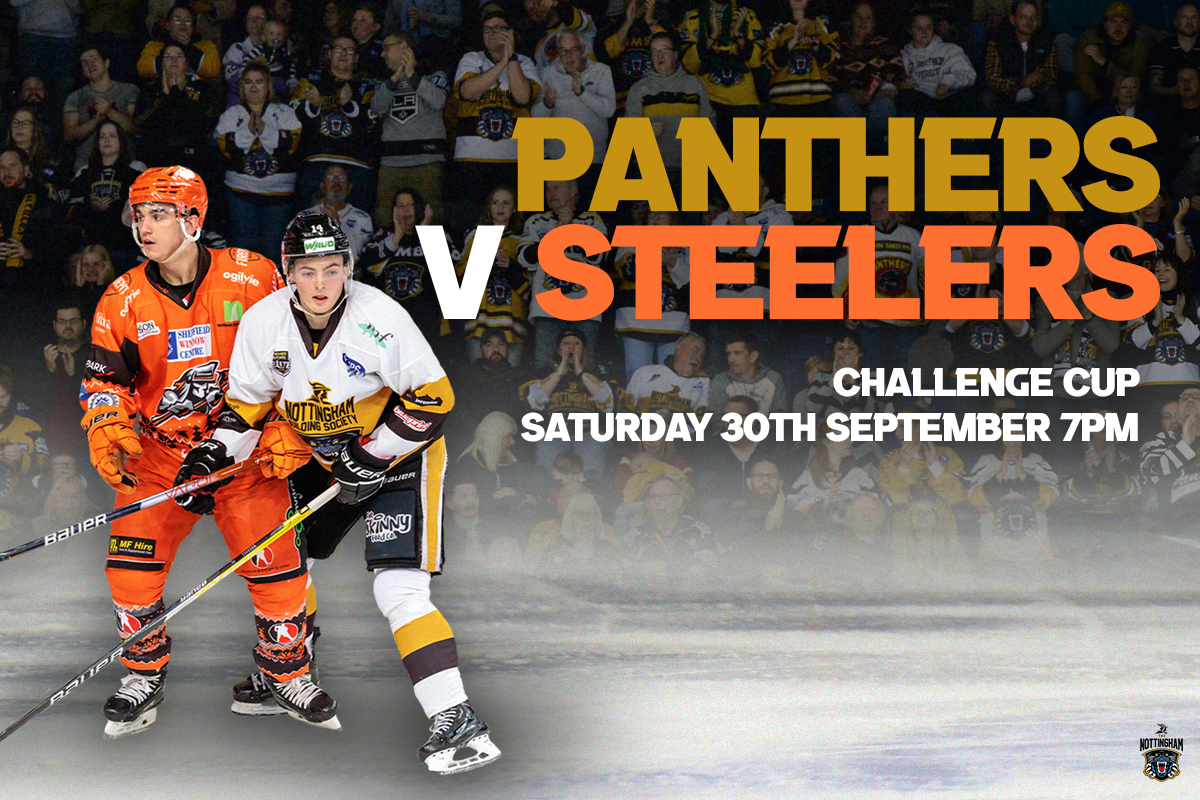 DEADLINE THURSDAY FOR REDUCED-PRICE TICKETS FOR STEELERS Top Image