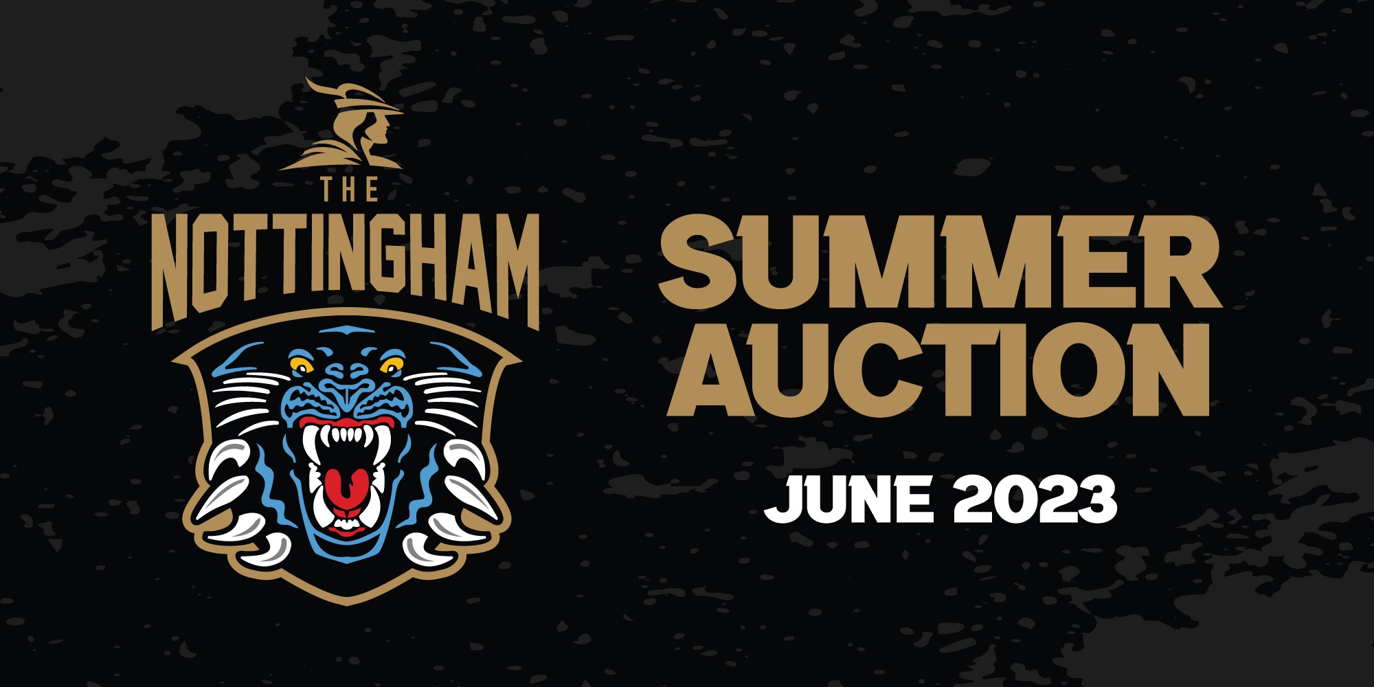 PANTHERS SUMMER AUCTION UNDER WAY TODAY Top Image
