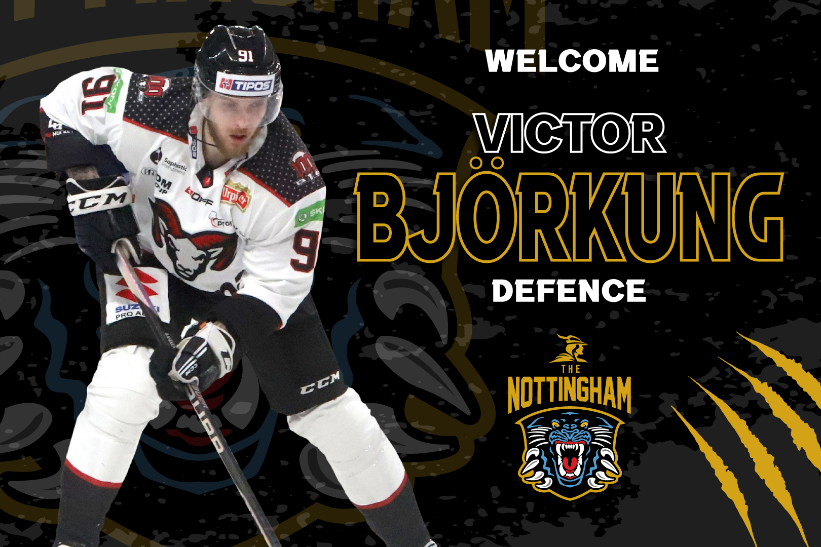 D-MAN BJORKUNG PENS DEAL WITH PANTHERS Top Image