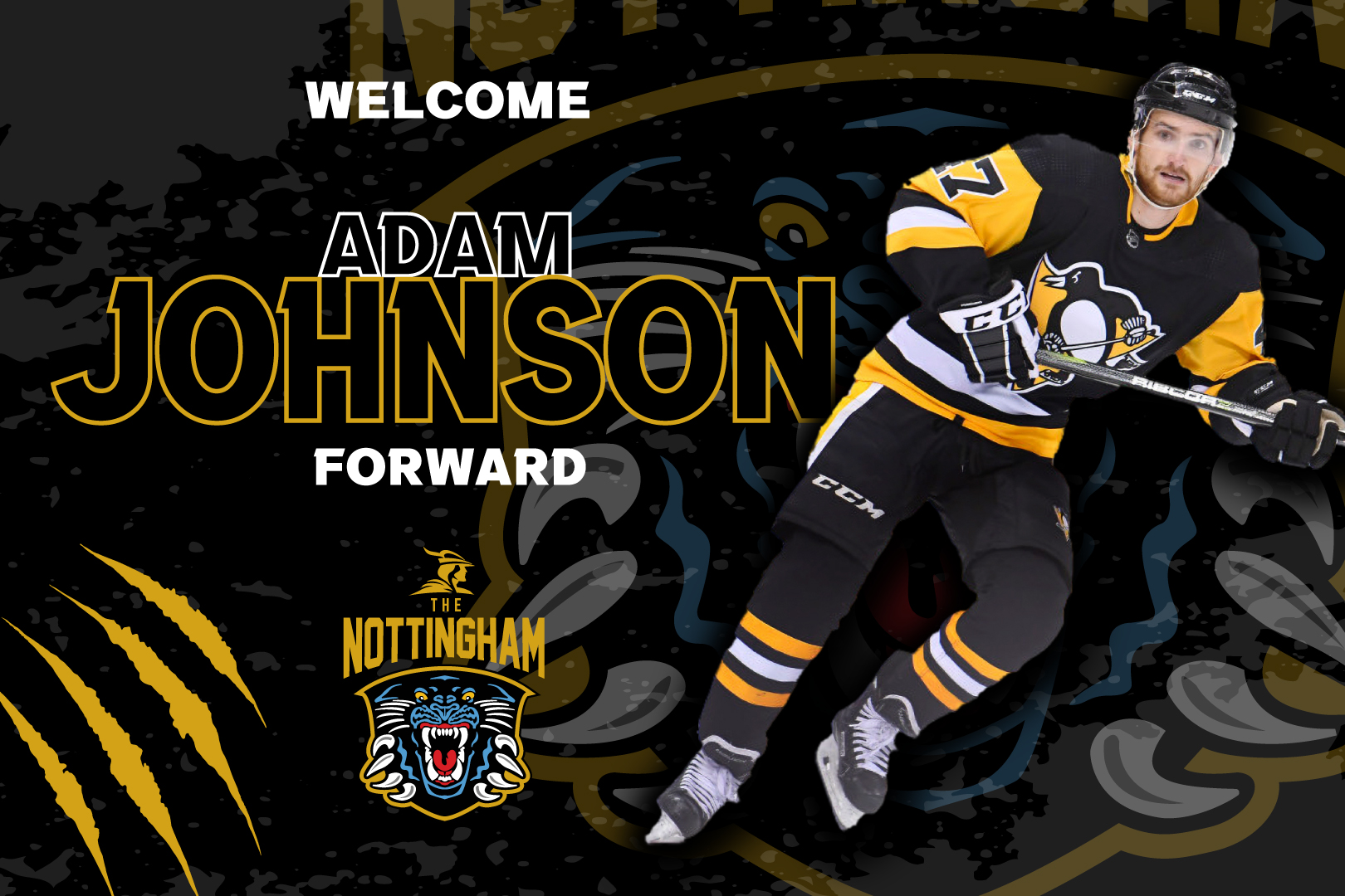 PANTHERS SIGN EXPERIENCED FORWARD ADAM JOHNSON Top Image
