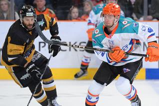 PANTHERS START PRE-SEASON AT SHEFFIELD