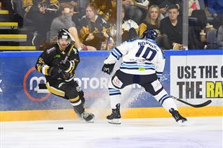 GAMEDAY FOR THE PANTHERS AT COVENTRY