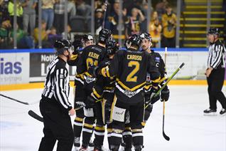 GAMEDAY PREVIEW: PANTHERS HOST GIANTS ON PRIDE NIGHT