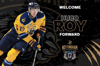 CANADIAN FORWARD ROY JOINS THE NOTTINGHAM PANTHERS