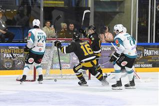 HUGE WEEK FOR PANTHERS IN TITLE CHASE