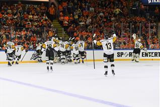 PANTHERS BEAT STEELERS IN PLAYOFF SEMI-FINAL