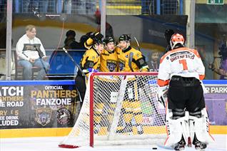 UNDER 200 TICKETS LEFT FOR PANTHERS-STEELERS