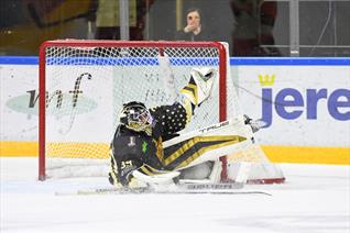 ROK'S STOP AGAINST SHEFFIELD NAMED SAVE OF THE SEASON