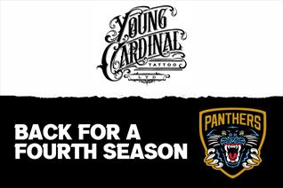 YOUNG CARDINAL TATTOO BACK FOR ANOTHER SEASON