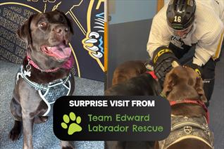 LABRADOR DOG CHARITY VISIT TO TRAINING