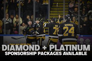 DIAMOND AND PLATINUM SPONSORSHIP PACKAGES AVAILABLE