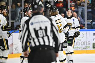 RELIVE THE BEST BITS AS PANTHERS BEAT STINGERS