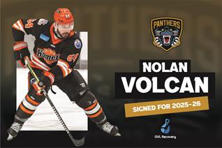 PANTHERS SIGN FORWARD NOLAN VOLCAN