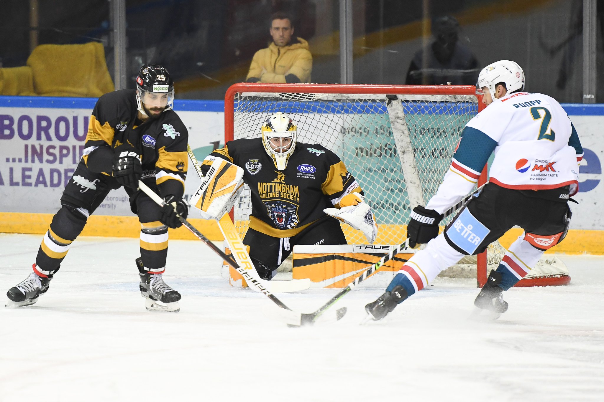 BELFAST NEXT AT HOME FOR THE PANTHERS Top Image