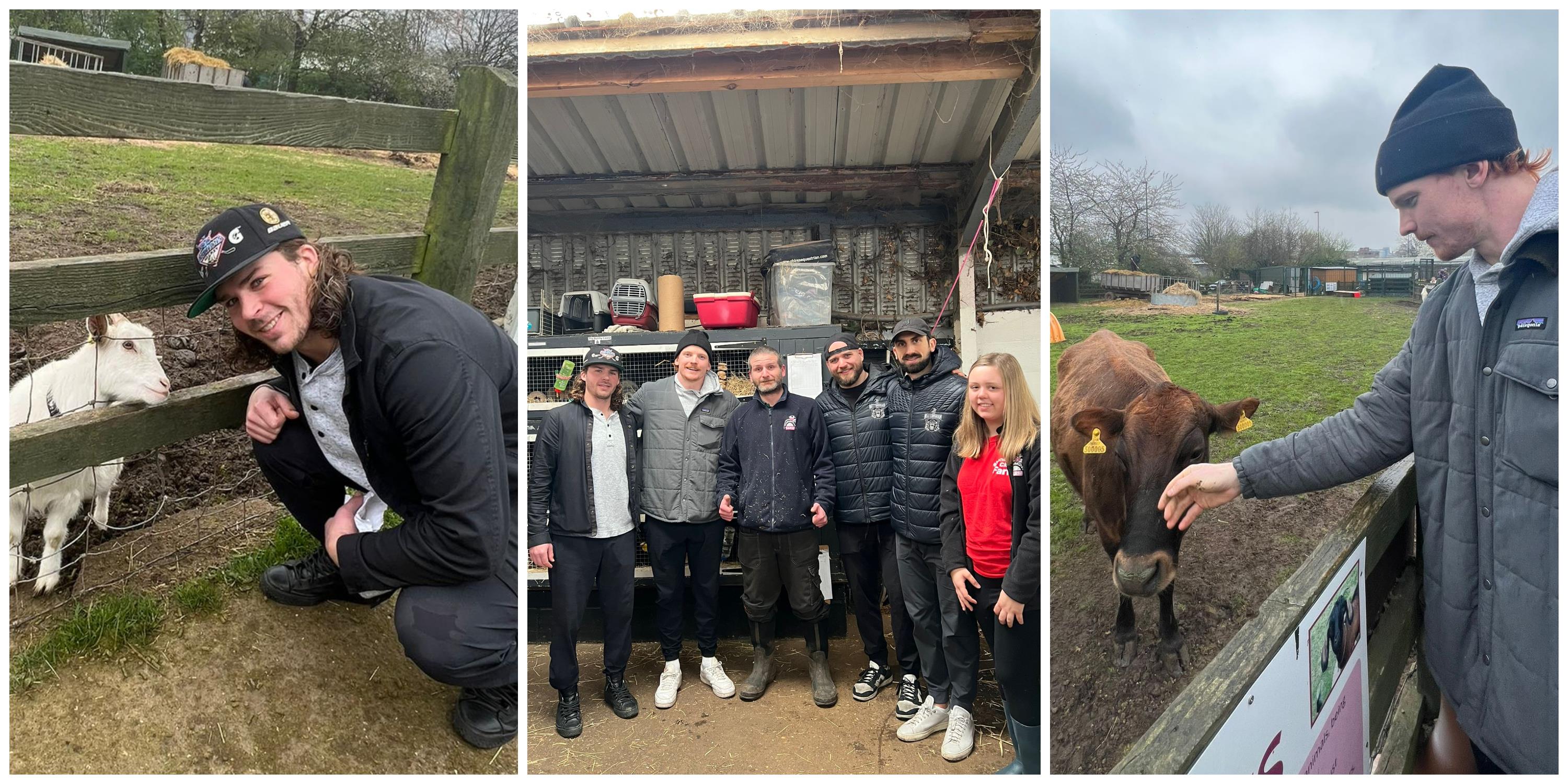 PANTHERS PLAYERS VISIT LOCAL FARM Top Image