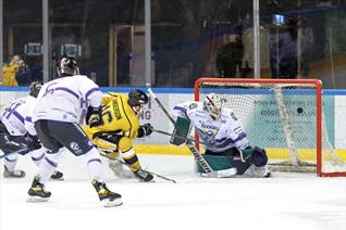 PANTHERS HOST STORM ON FAN APPRECIATION NIGHT