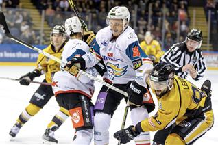 GAMEDAY PREVIEW: PANTHERS HOST GIANTS